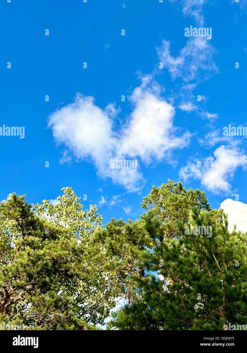 Heart shaped cloud in the sky Stock Photo