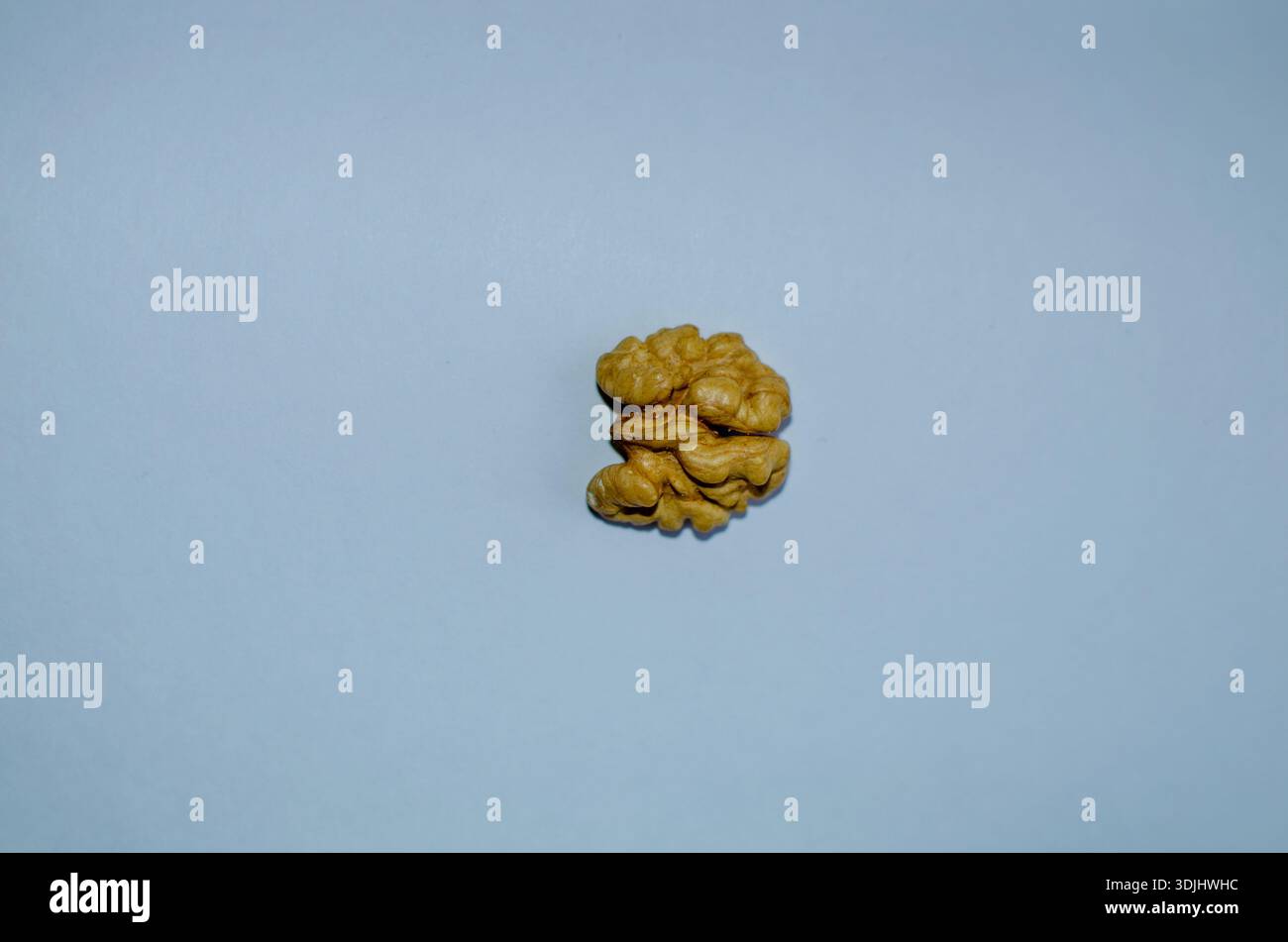 A peeled walnut kernel rests against a simple blue background Stock Photo