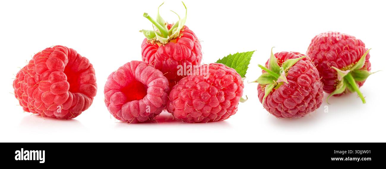 Ripe raspberry isolated on a white background. Ripe raspberries. Stock Photo