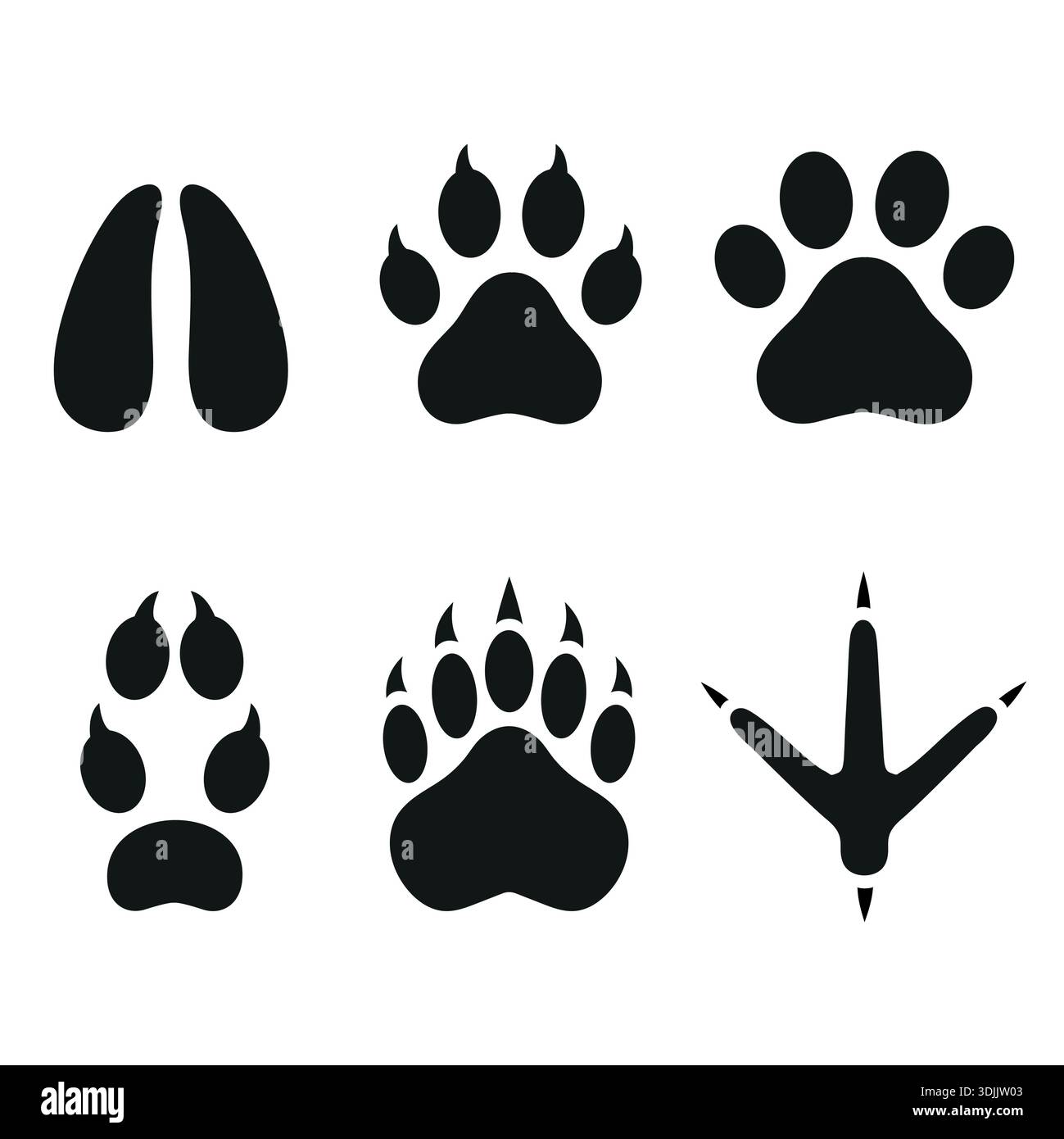 vector illustration of animal tracks on white background Stock Vector ...
