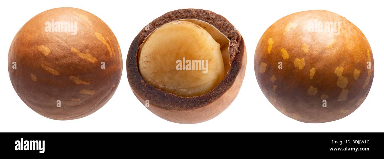 Macadamia nuts isolated on white background. Stock Photo