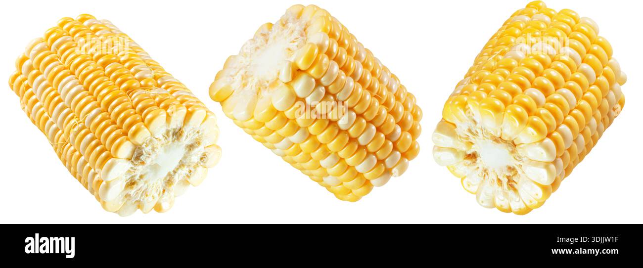 Corn isolated on white background with clipping path. Stock Photo