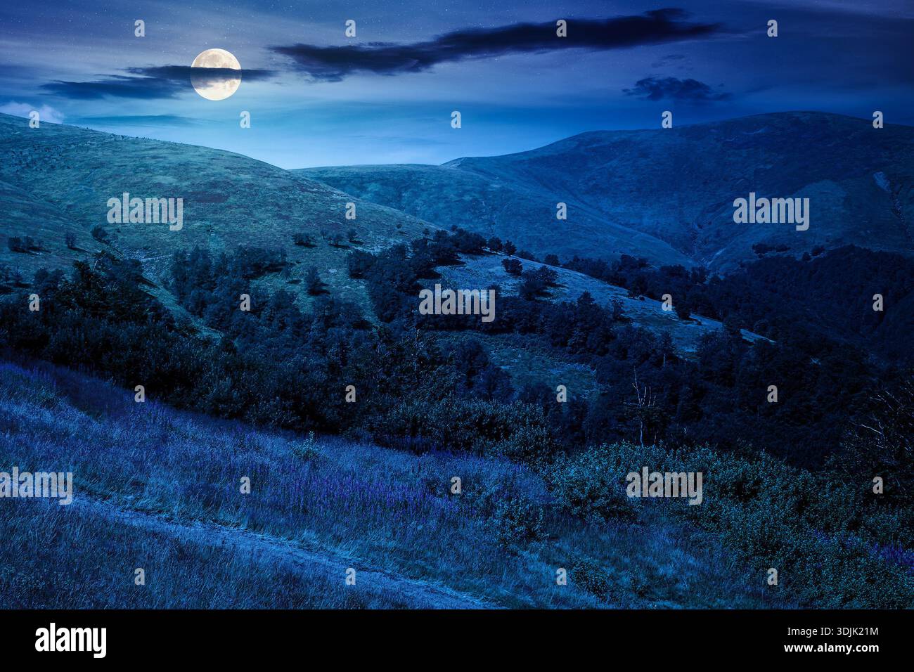 beautiful mountain landscape in summer at night. scenic view of green grassy hills with alpine forest in full moon light. picturesque scene for outdoo Stock Photo