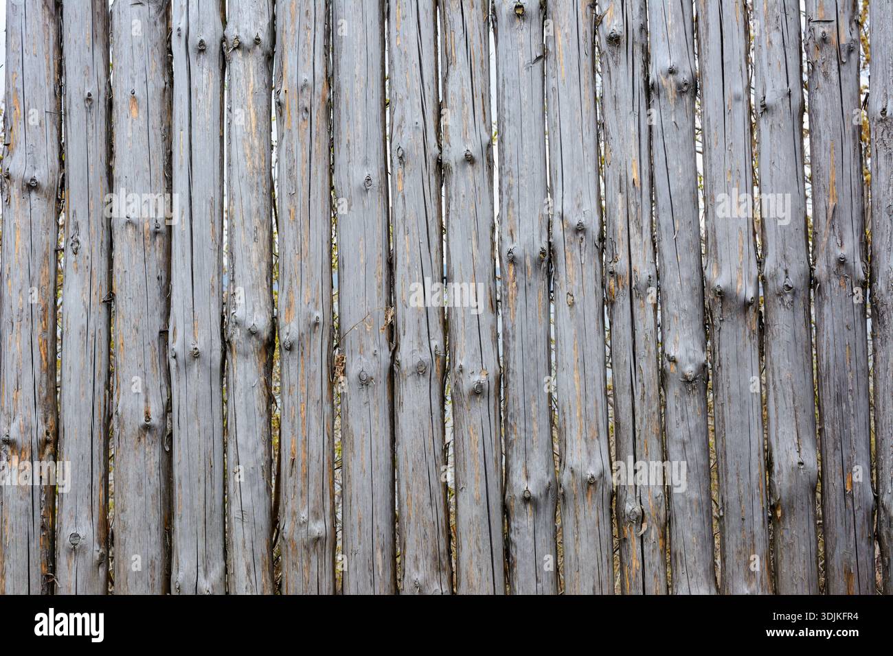 Background texture of old grey wooden fence from whole logs with knots ...