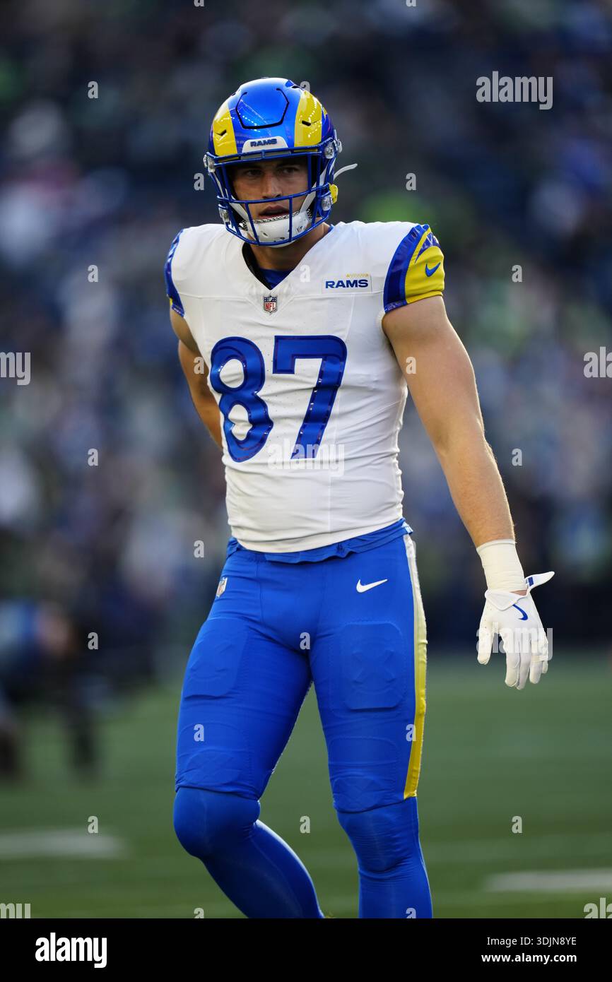 Los Angeles Rams tight end Davis Allen (87) looks on during the NFC ...