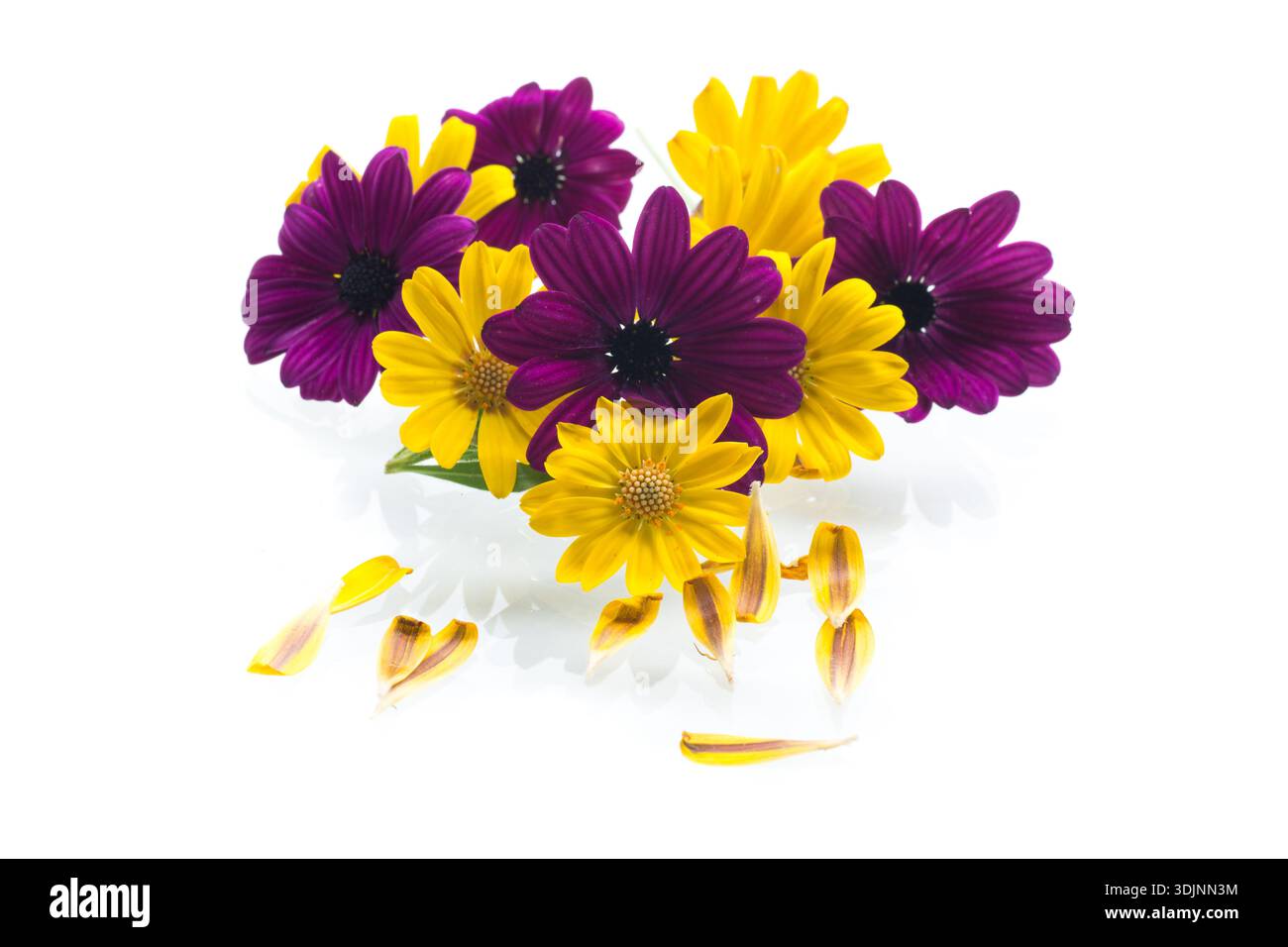 flower bouquet on white background. Stock Photo