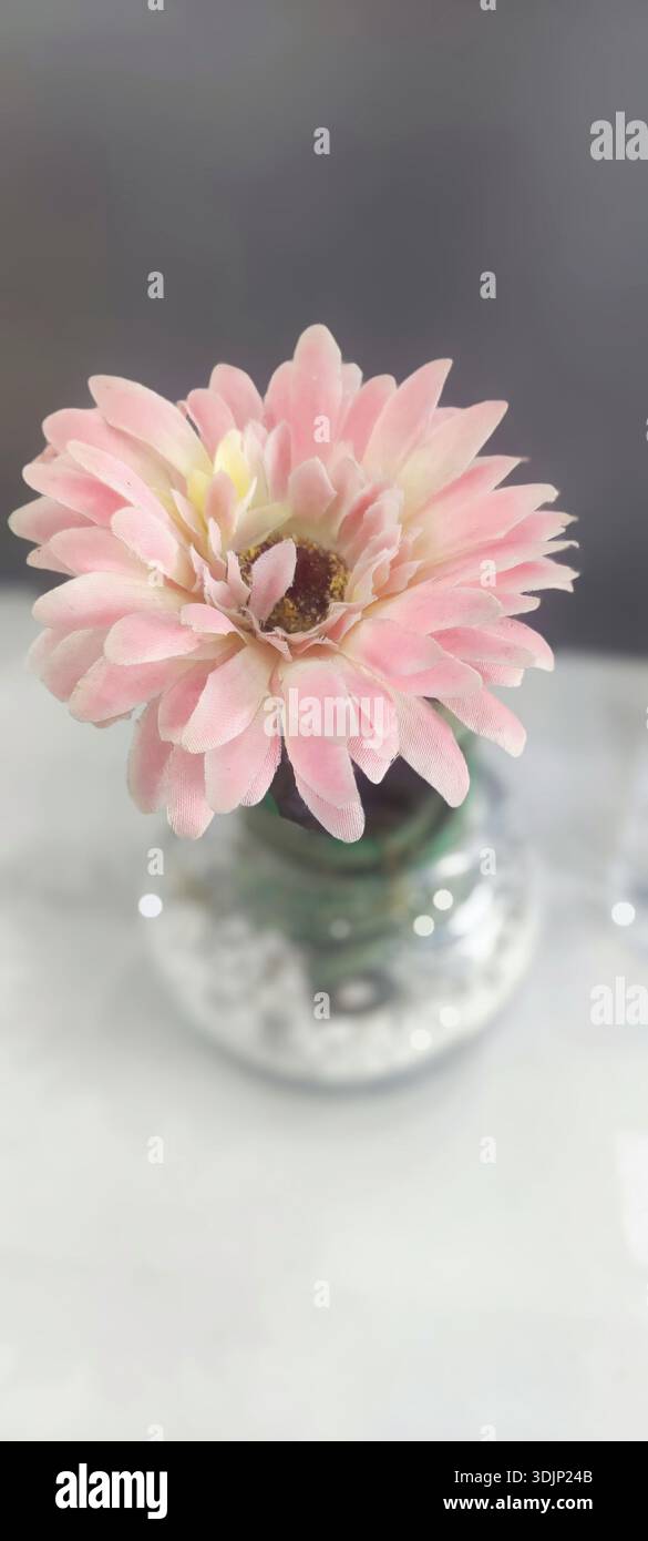 Realistic pink artificial flower in glass vase with decorative stones, ideal for home or office aesthetic enhancement. - Smartphone Captured Stock Image