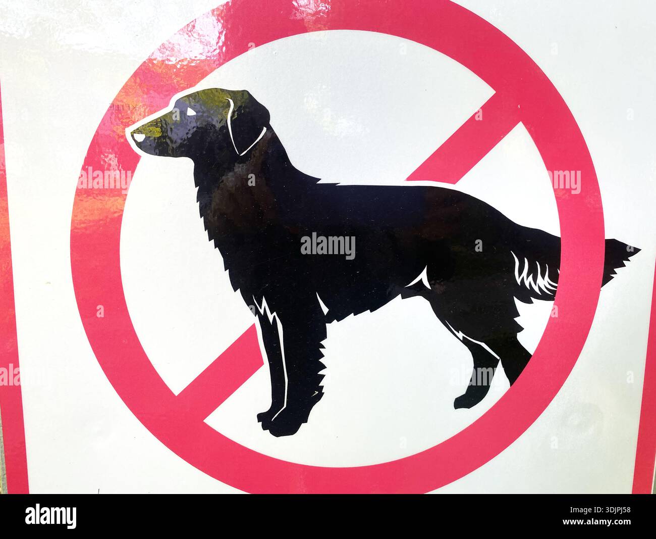 Black dog silhouette within a red no symbol on a white sign, clearly ...