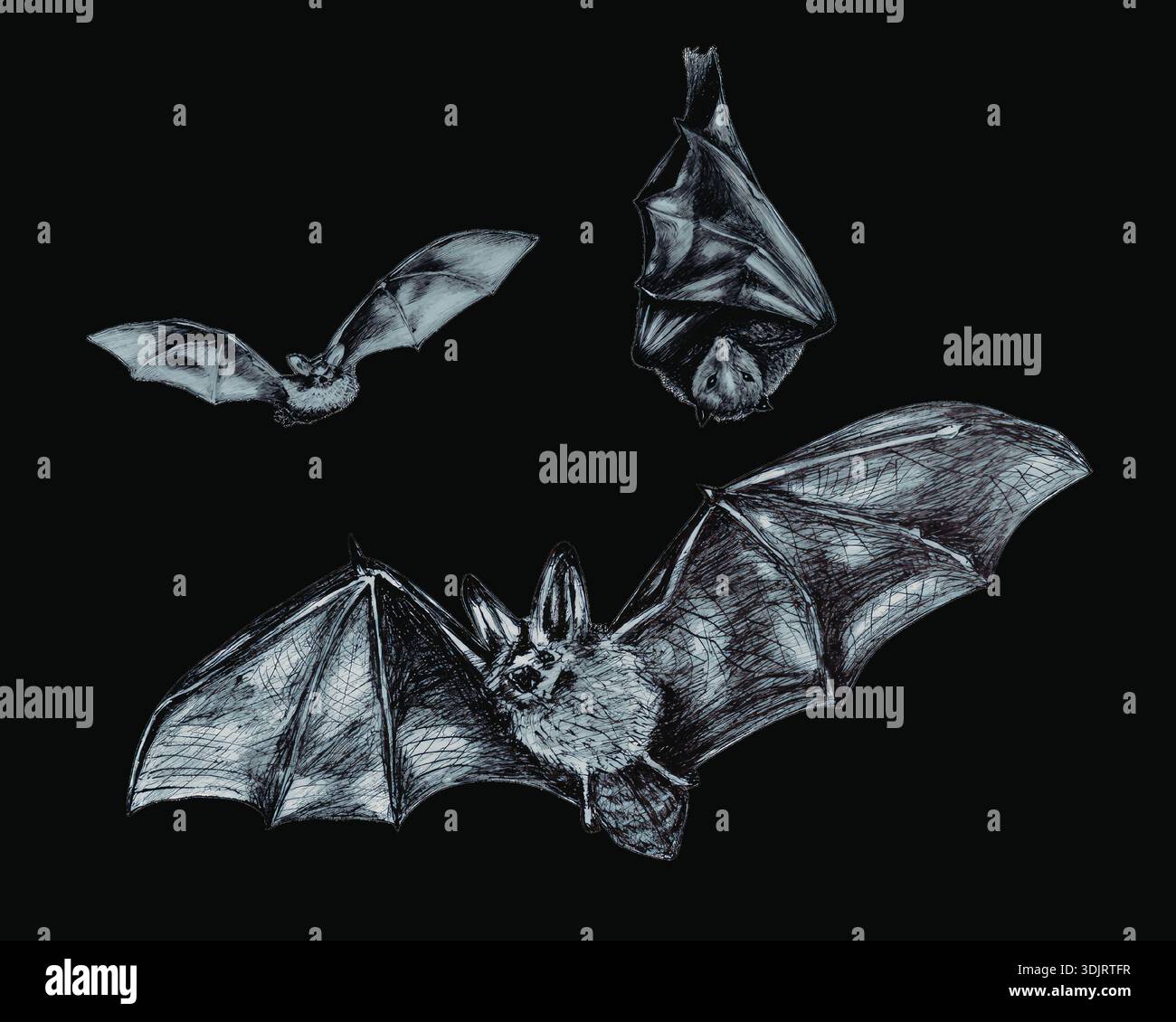 Bats depicted hi-res stock photography and images - Alamy
