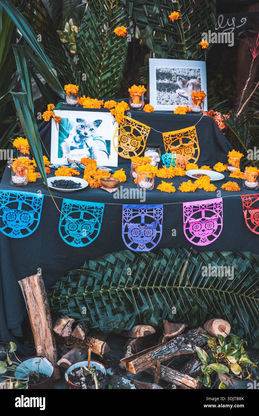 Day of the Dead pet memorial altar adorned with marigolds, candles, photographs, and papel picado in Tulum, Mexico. Stock Photo
