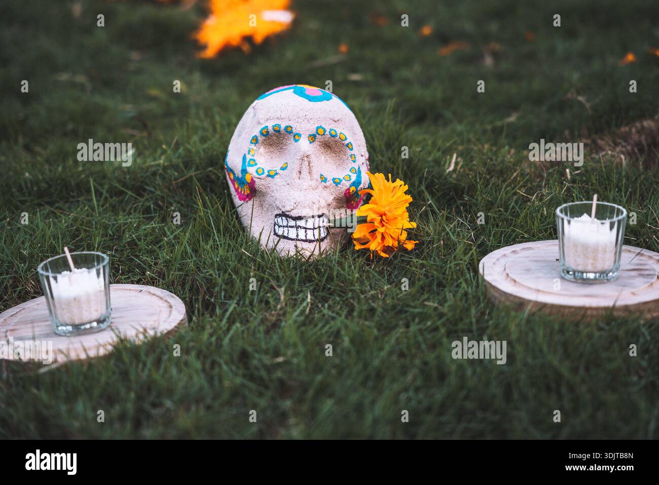 Painted sugar skull placed on grass with candles and marigold flower during Day of the Dead celebrations in Tulum, Mexico. Stock Photo