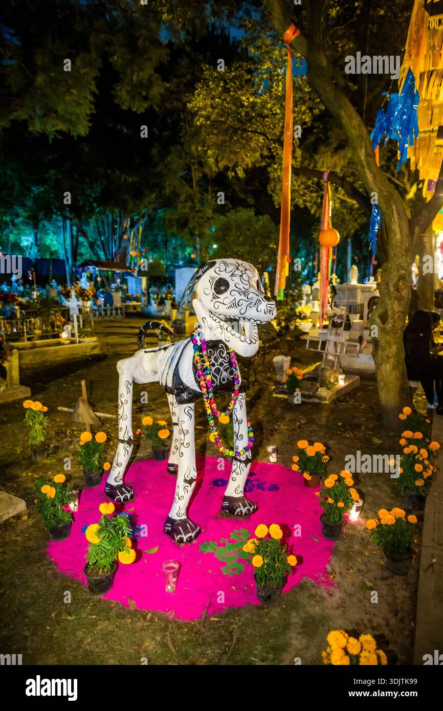 Altars, offerings, skeletons and decorations during the Day of the Dead celebration in Mexico. Stock Photo
