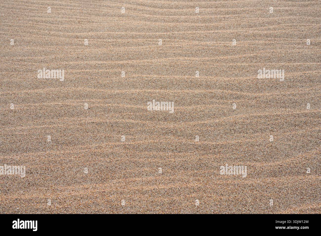 Golden sandy beach texture with natural wind-formed ripples on coastal ...