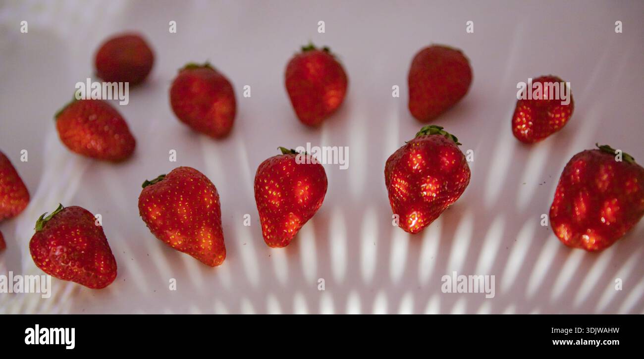 Fresh strawberries arranged in pattern on white background with light shadows Stock Photo