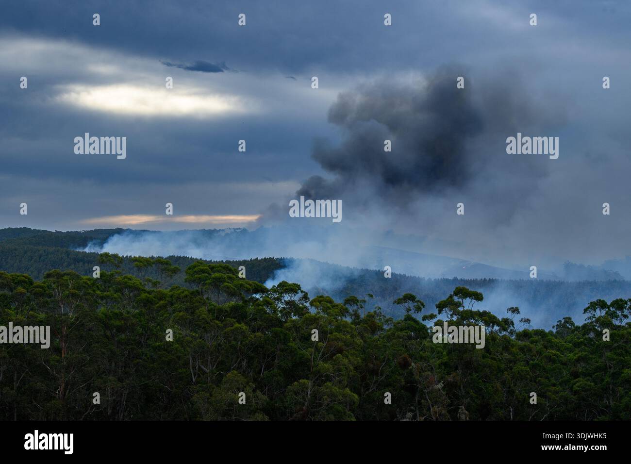 Smoke rises from the bush near Gellibrand, Wednesday, January 28, 2026 ...