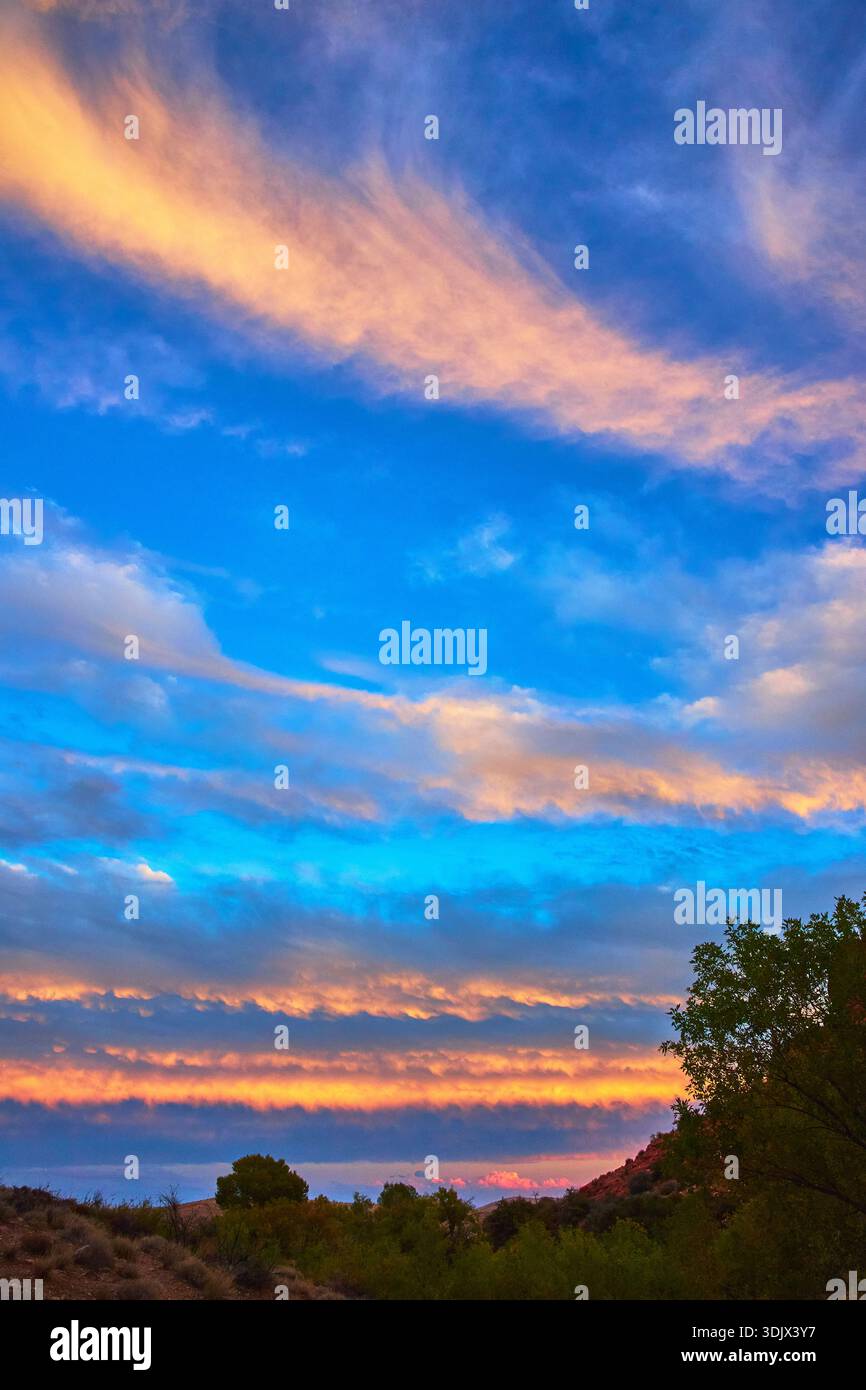 Colorful Desert Sunset Sky with Dramatic Clouds and Silhouetted Trees ...
