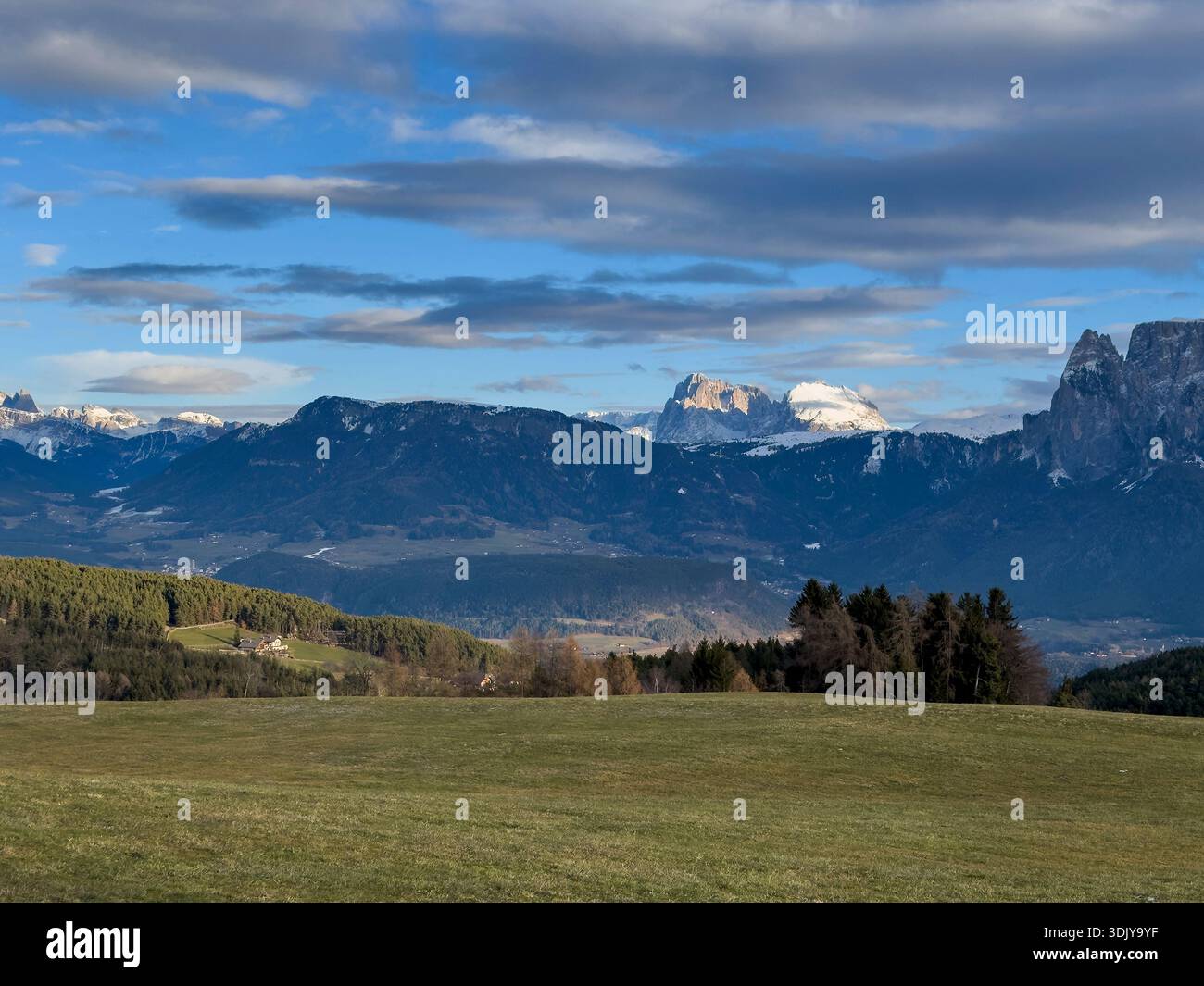 A high altitude meadow in the Dolomites and the Schlern or Sciliar peaks - Southern Tyrol, Italy Stock Photo