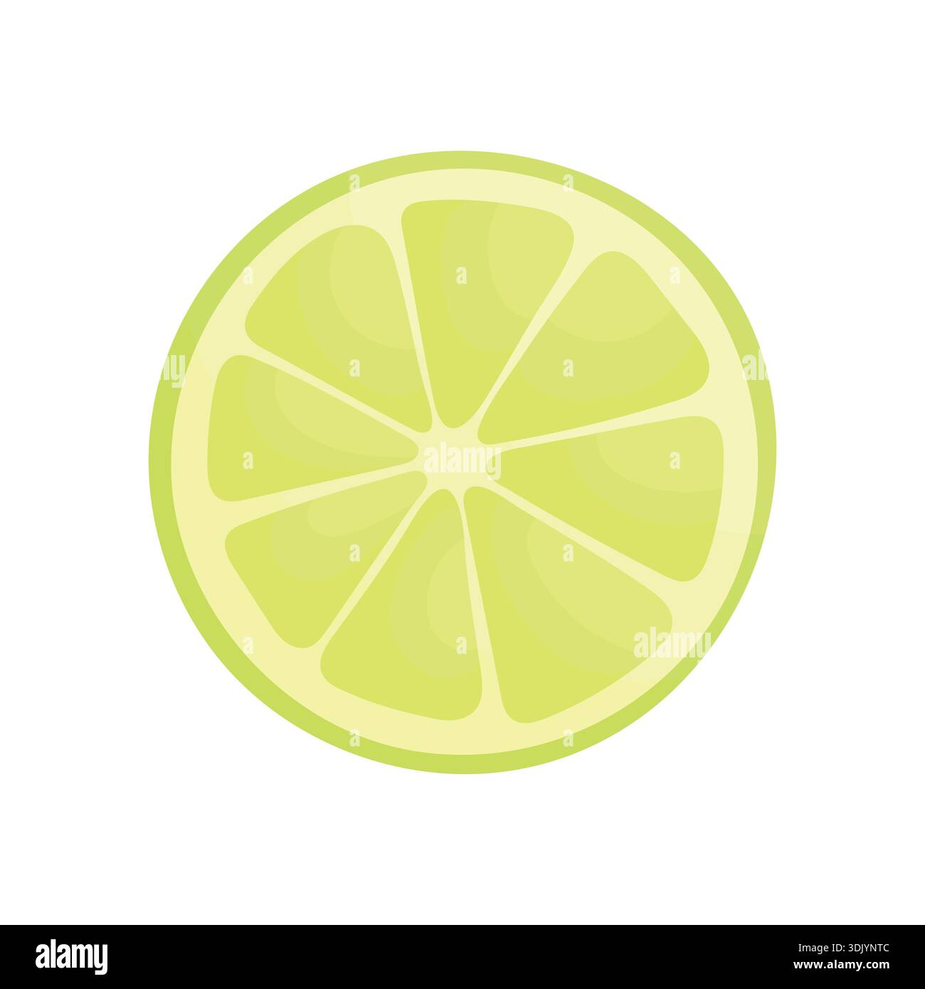 Sliced ​​lime on a white background. Citrus fruit. Ingredients for making drinks. Stock Vector