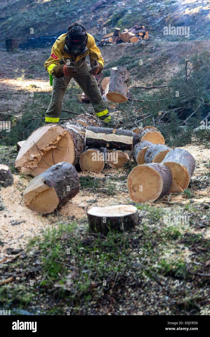 Double Stack Firefighter Wildfire firefighter clearing brush hi-res stock photography and images ...