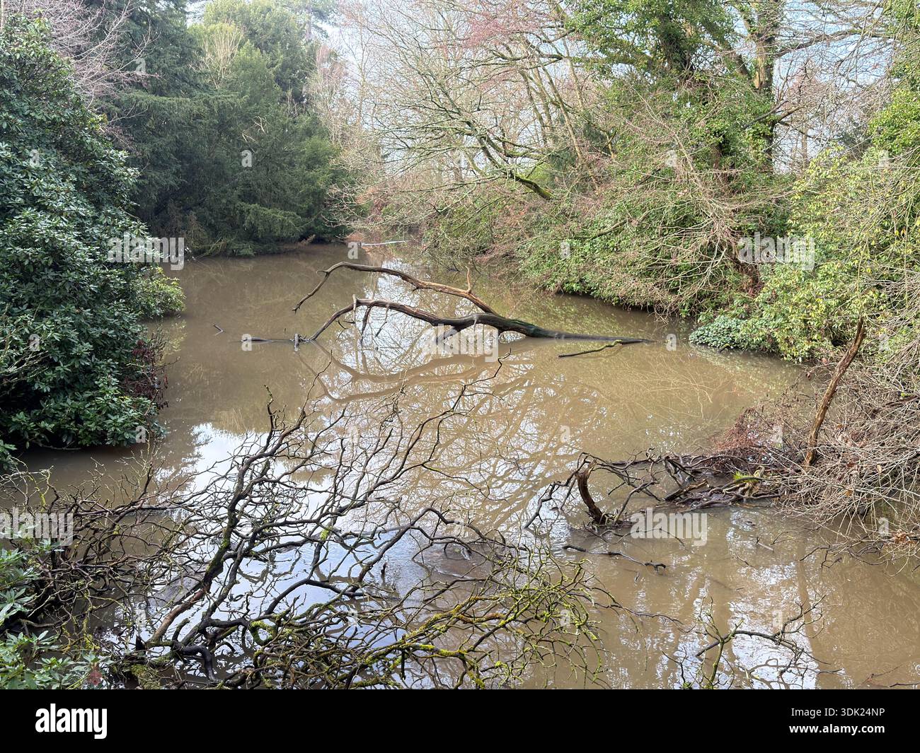 Elvaston Castle Country Park small Lake,Derby.Derbyshire.England.UK - Smartphone Captured Stock Image