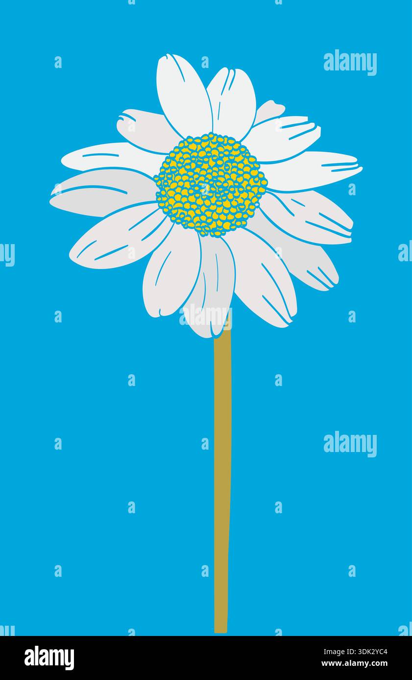 daisy flower on blue background. daisy flower Stock Vector