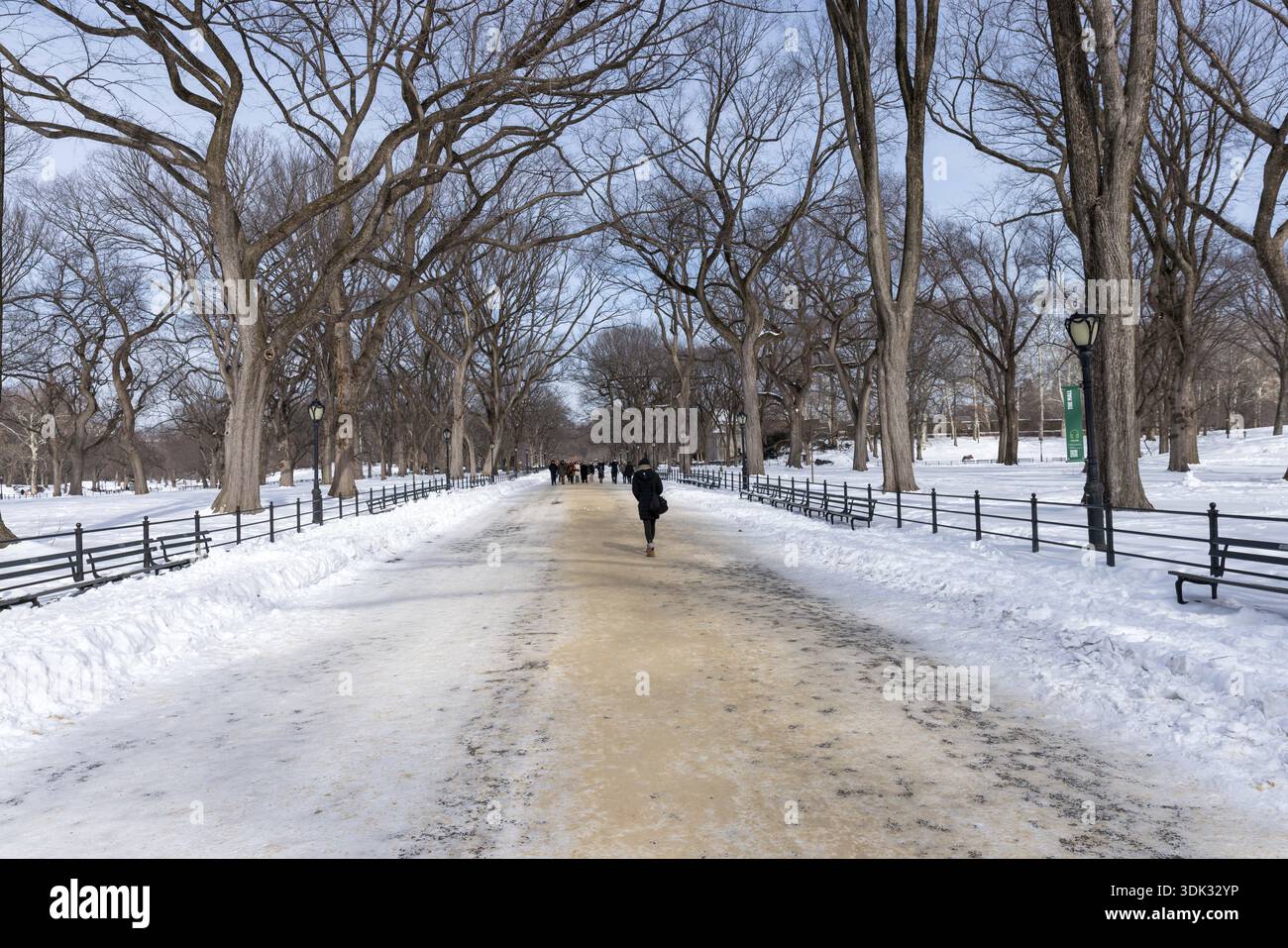 Central Park is seen covered in snow after a historic snowstorm that ...