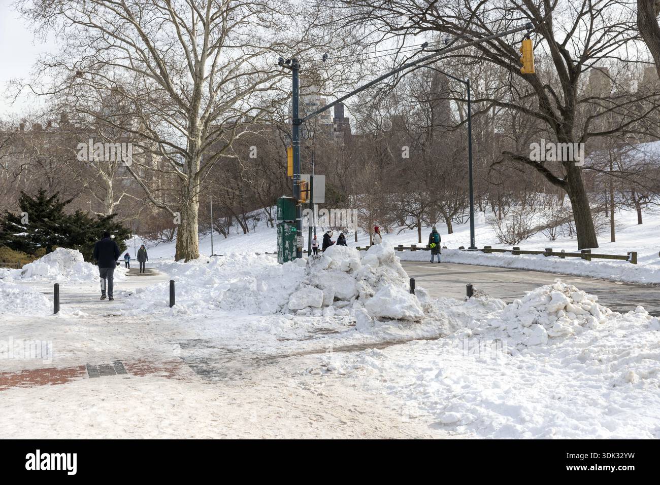 Central Park is seen covered in snow after a historic snowstorm that ...