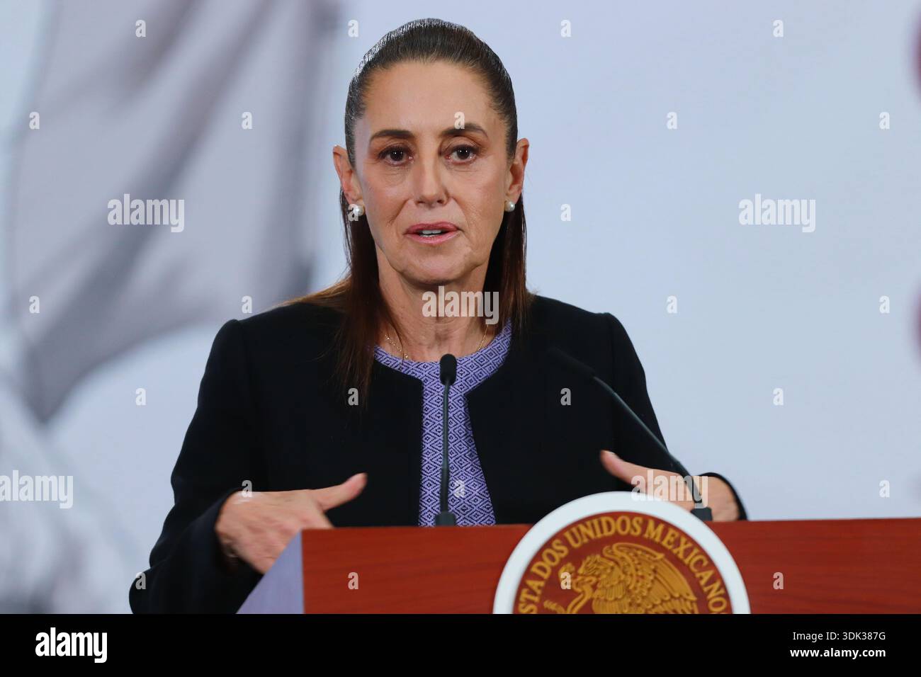 What is the status of legislator licenses?