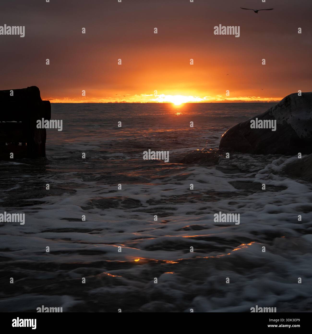 Dramatic sunset over the ocean with silhouetted pier ruins, large rocks, crashing waves, and a seagull against fiery orange skies - Smartphone Captured Stock Image