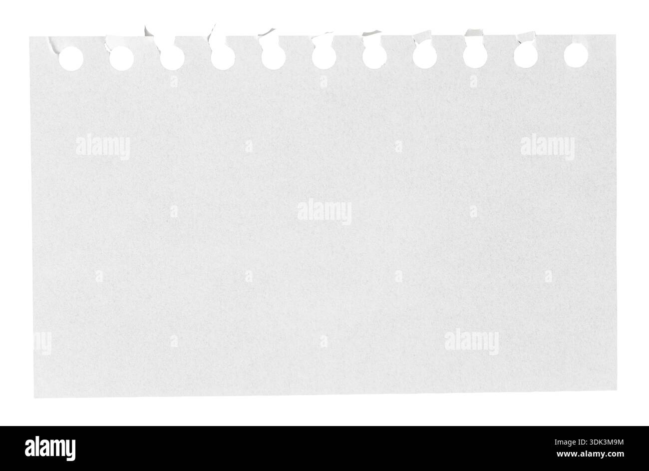 Torn Spiral Notebook Page isolated on white Background Stock Photo