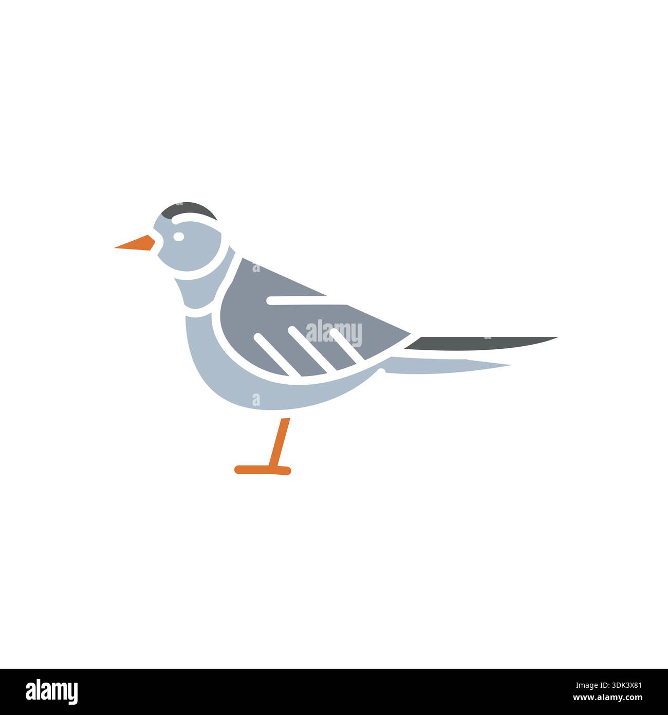arctic tern color flat icon for digital and print projects. Arctic ...