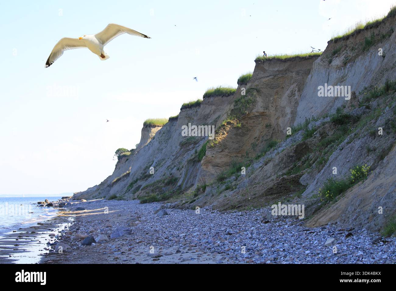 Schönhagen cliffs, Baltic Sea Stock Photo