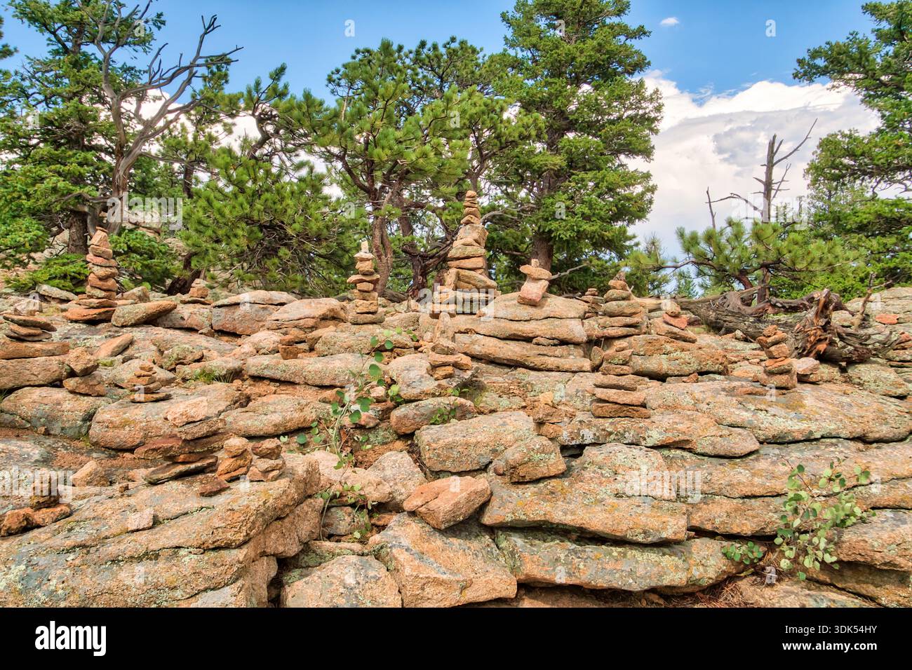A rocky hillside with a few trees and a few small piles of rocks. The ...