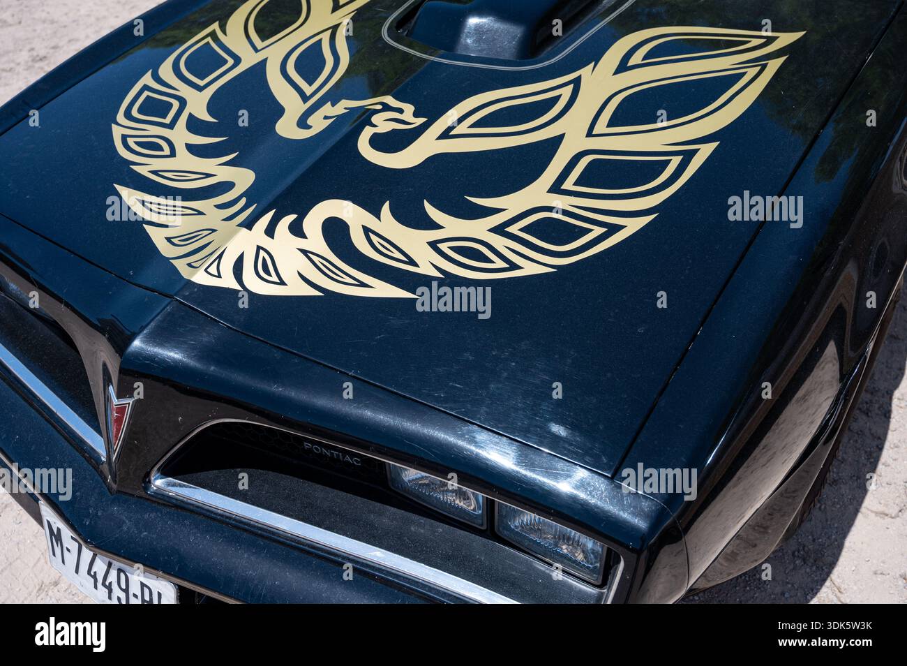 Close-up of the iconic large gold Phoenix decal on the black hood of a ...