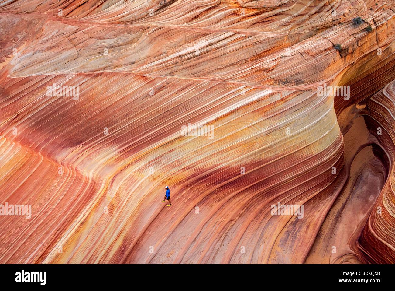 Undulating textures hi-res stock photography and images - Alamy