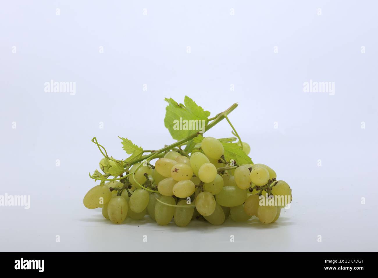 a cluseter of seedless grape isolated on white Stock Photo