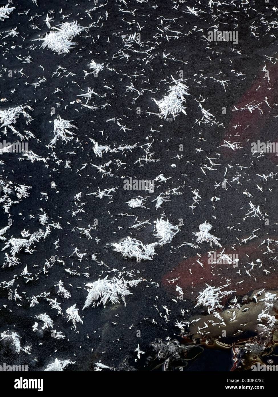 Close up of large white crystals sitting on a layer of ice over orange and white Koi fish swimming under the ice in a pond in Wisconsin, USA - Smartphone Captured Stock Image