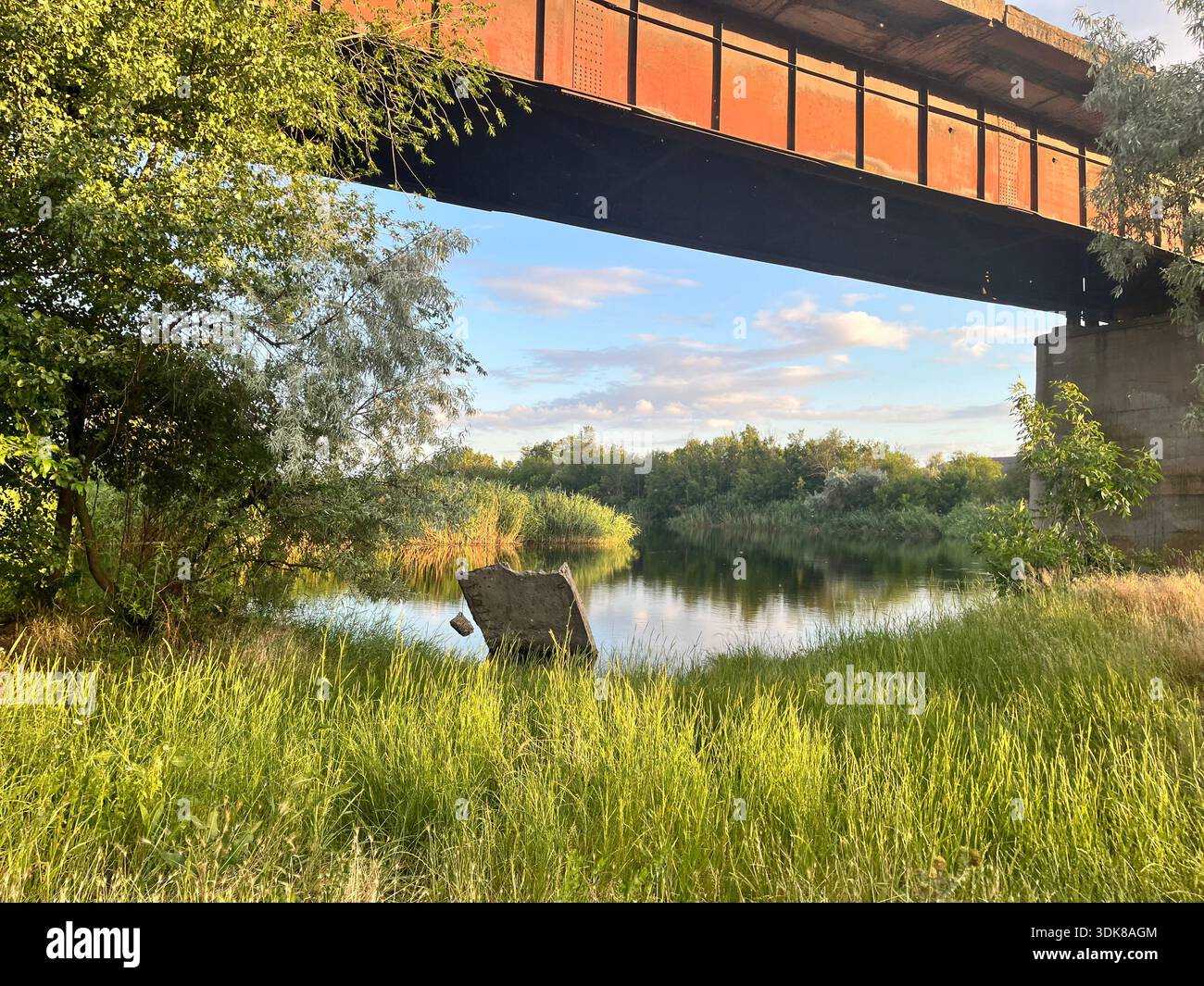 River landscape under a bridge with green grass, trees and calm water in summer. - Smartphone Captured Stock Image