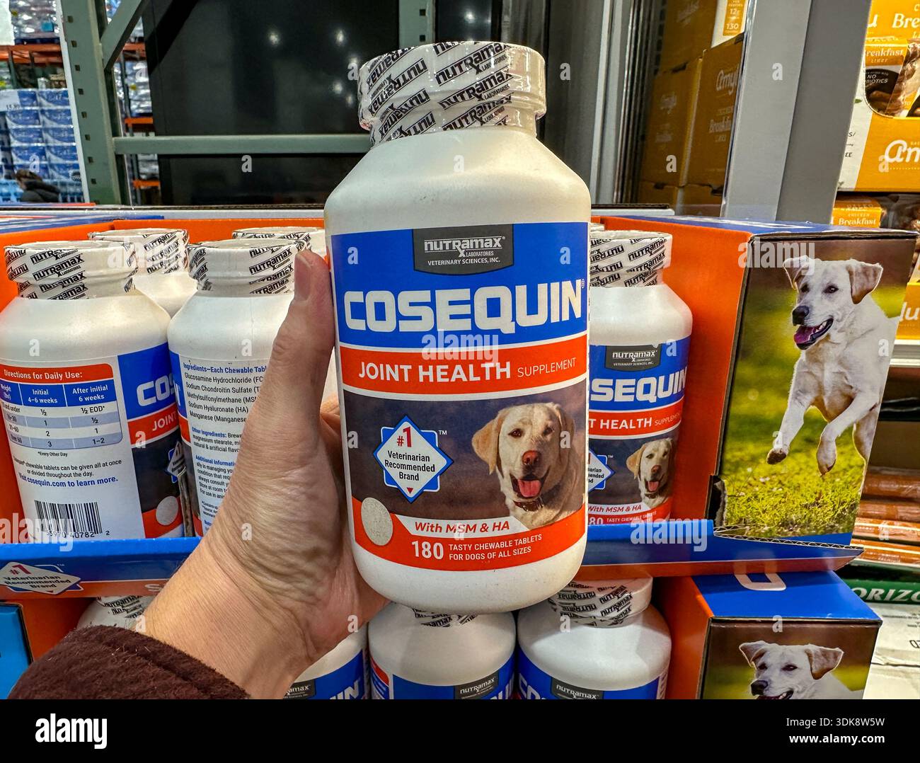 A hand holding a bottle of Cosequin Joint Health supplements for dogs. Merrillville, IN USA - January 29, 2026 - Smartphone Captured Stock Image