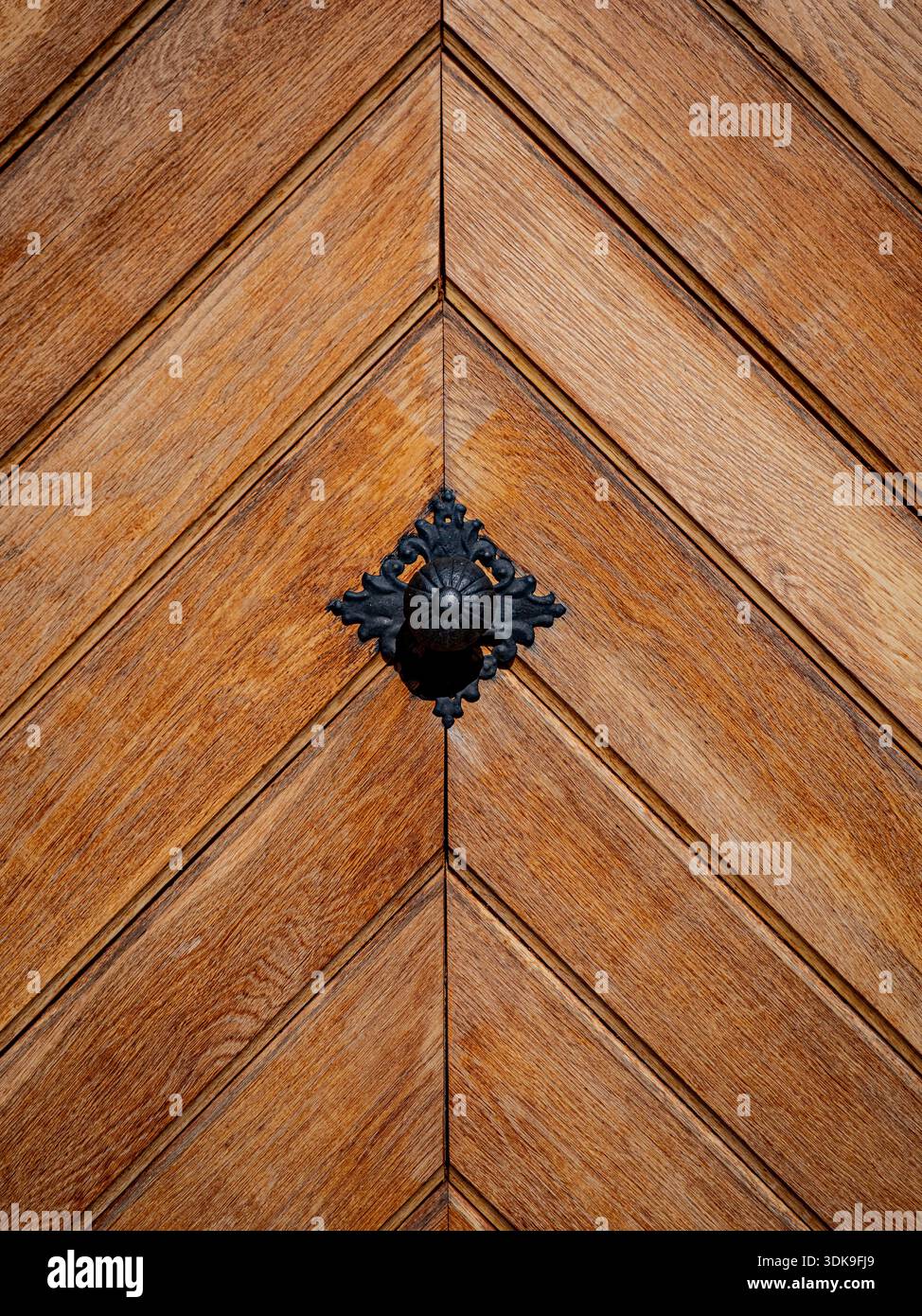 Chevron-pattern wooden door with central decorative black metal ornament. Stock Photo