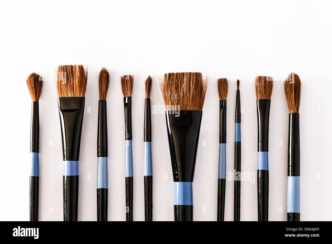 A variety of paint brushes in different sizes lined up on a white background Stock Photo