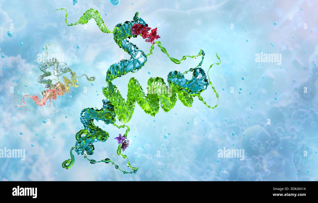 Illustration of human prion protein (PrP), showing alpha-helices and ...