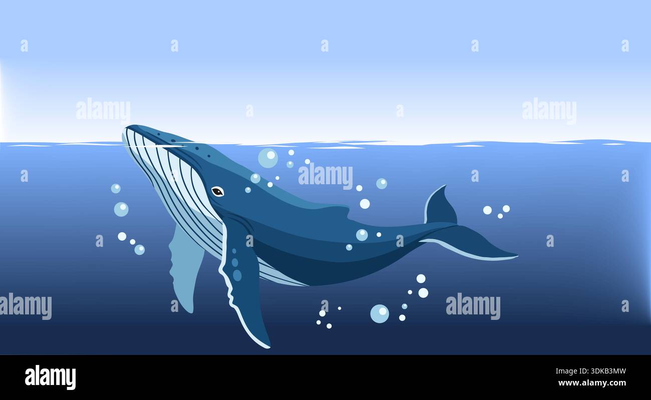 Giant fluke humpback whale Stock Vector Images - Alamy