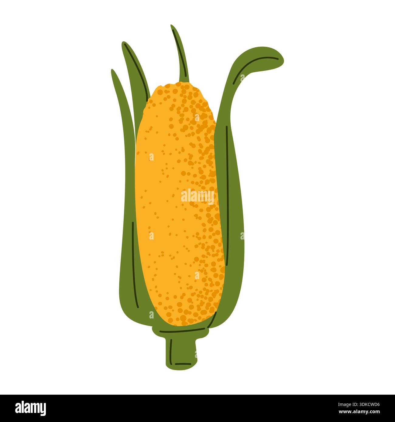 Corn Cob Maize Vegetable Illustration Stock Vector Image & Art - Alamy
