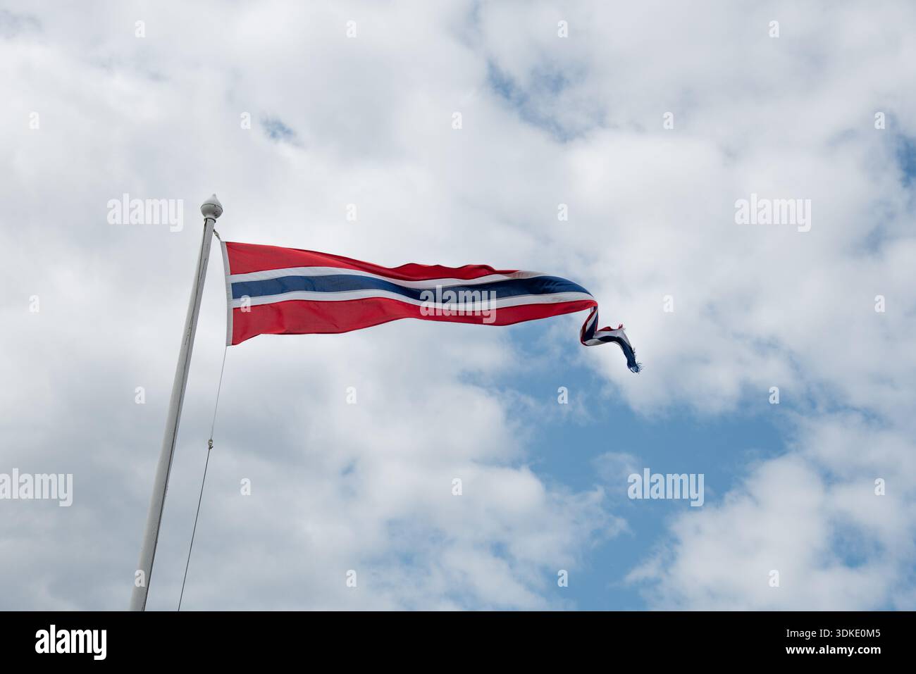 Illustration Vectorielle Gratuite Du Drapeau De La Norvège | Vecteur