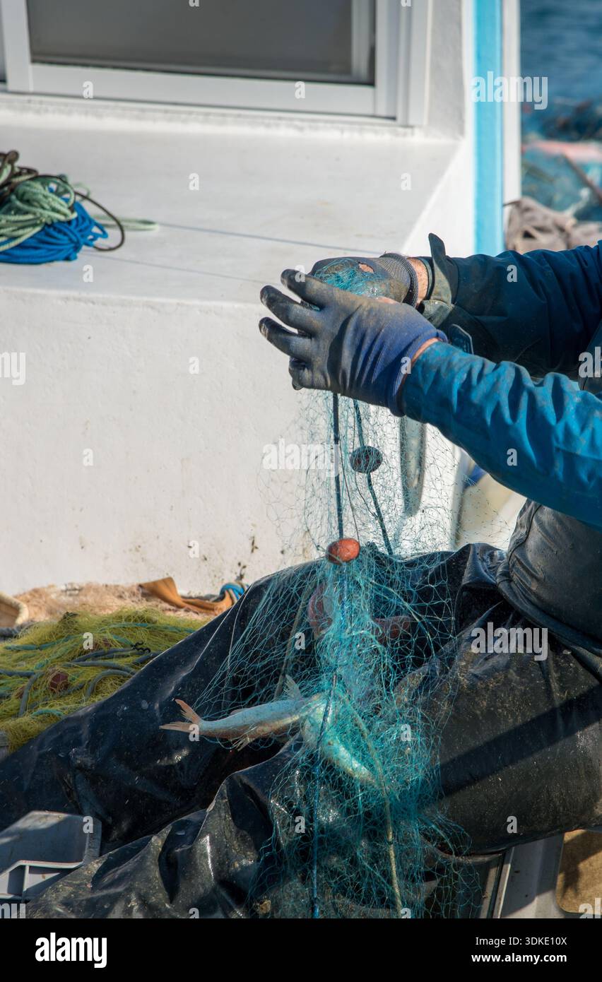 Fish net trawler catch hi-res stock photography and images - Alamy