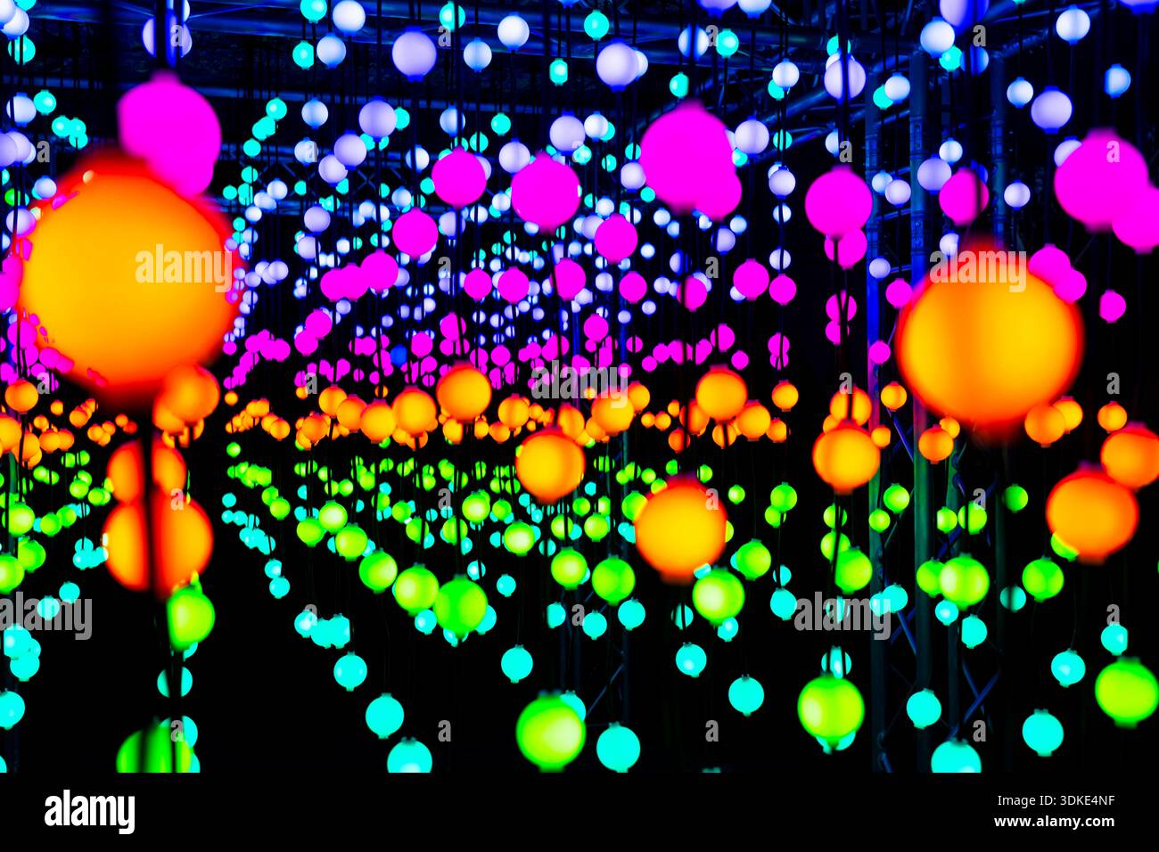 Licht, leuchtende Kugeln, LED Lampen, hängen in Reihe, nebeneinander, übereinander, wechseln ihre Lichtfarbe, Lichtinstallation beim Parkleuchten im Grugapark in Essen, bunte Lichter *** Light, luminous spheres, LED lamps, hanging in a row