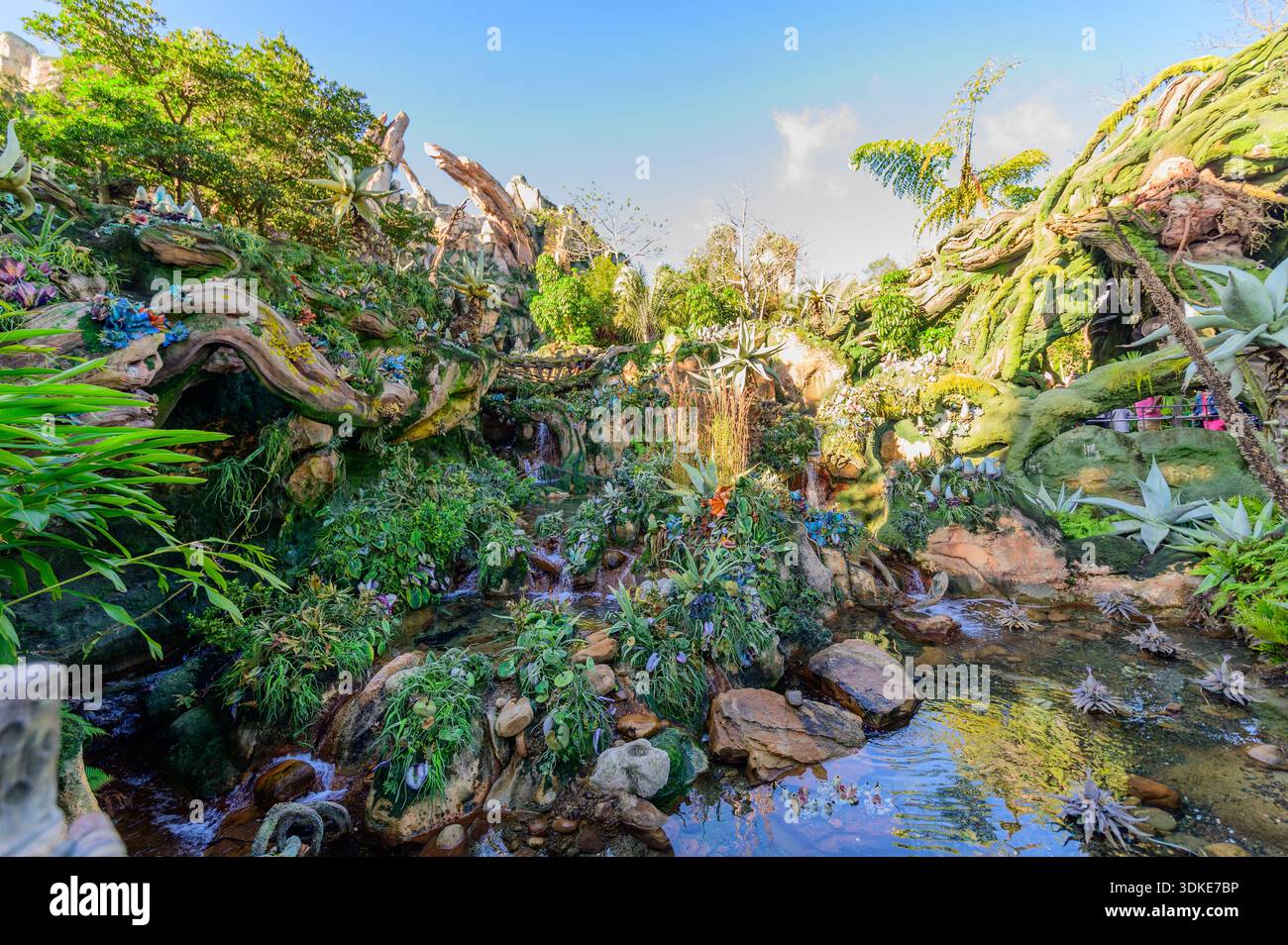 Lush alien landscape and themed scenery in Pandora – The World of Avatar at Disney’s Animal Kingdom in Orlando, Florida. Stock Photo