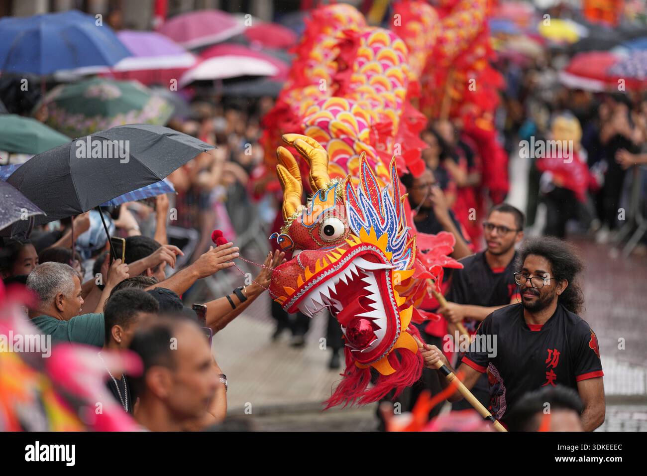 Dancers perform a dragon dance celebrating the Chinese Lunar New Year ...