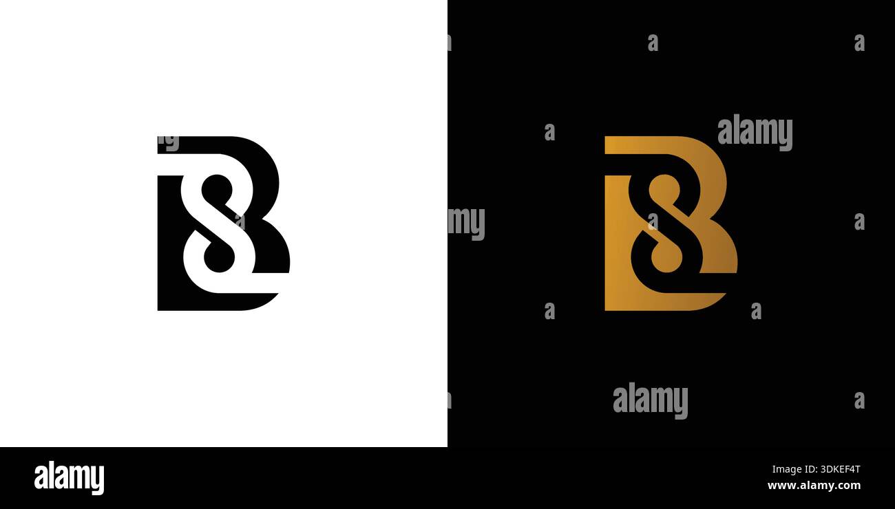 Modern and unique letter BS initials logo design Stock Vector